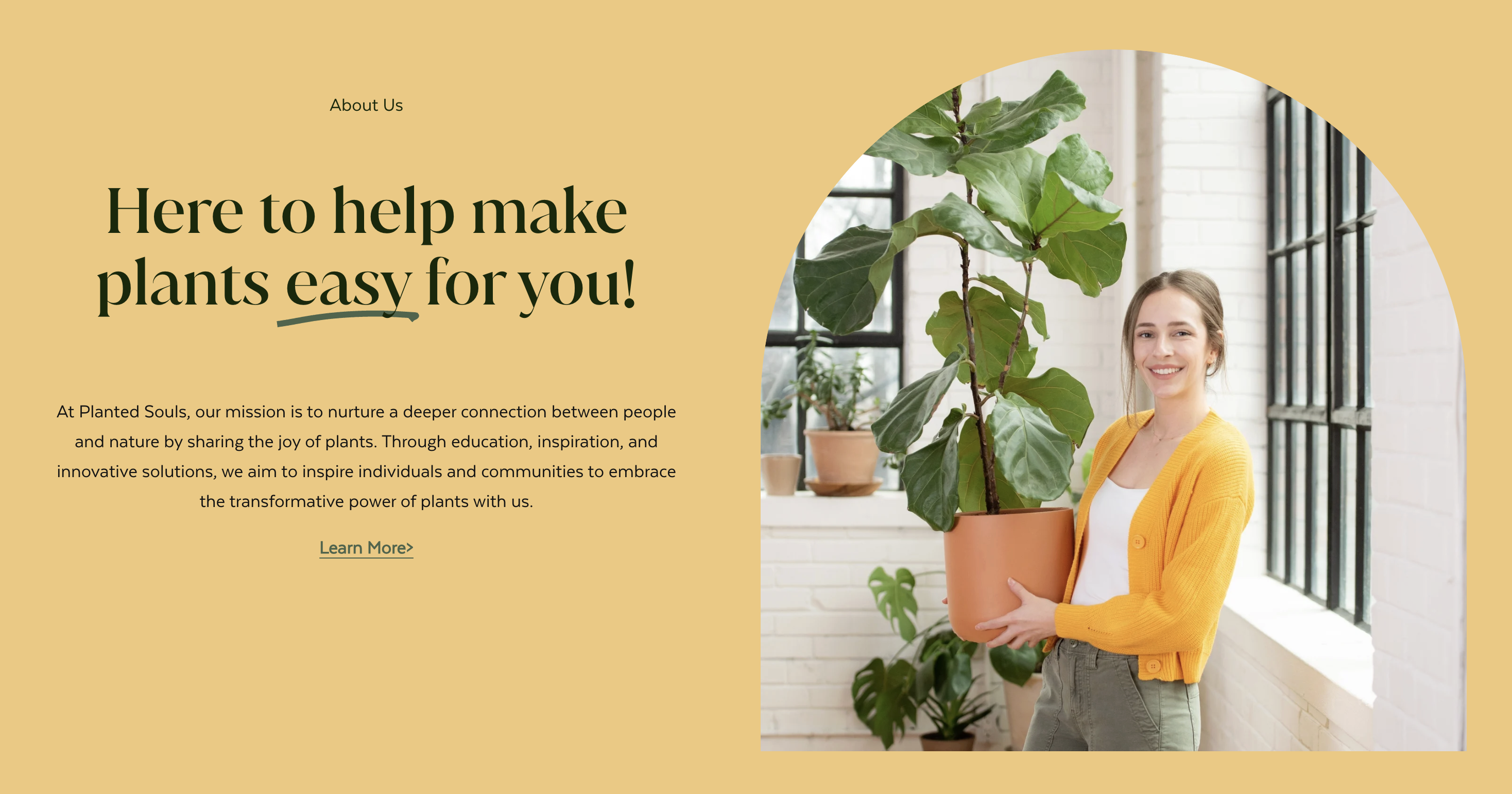 Planted Souls About Us page with warm yellow background, green typography, and a rounded plant lifestyle photograph