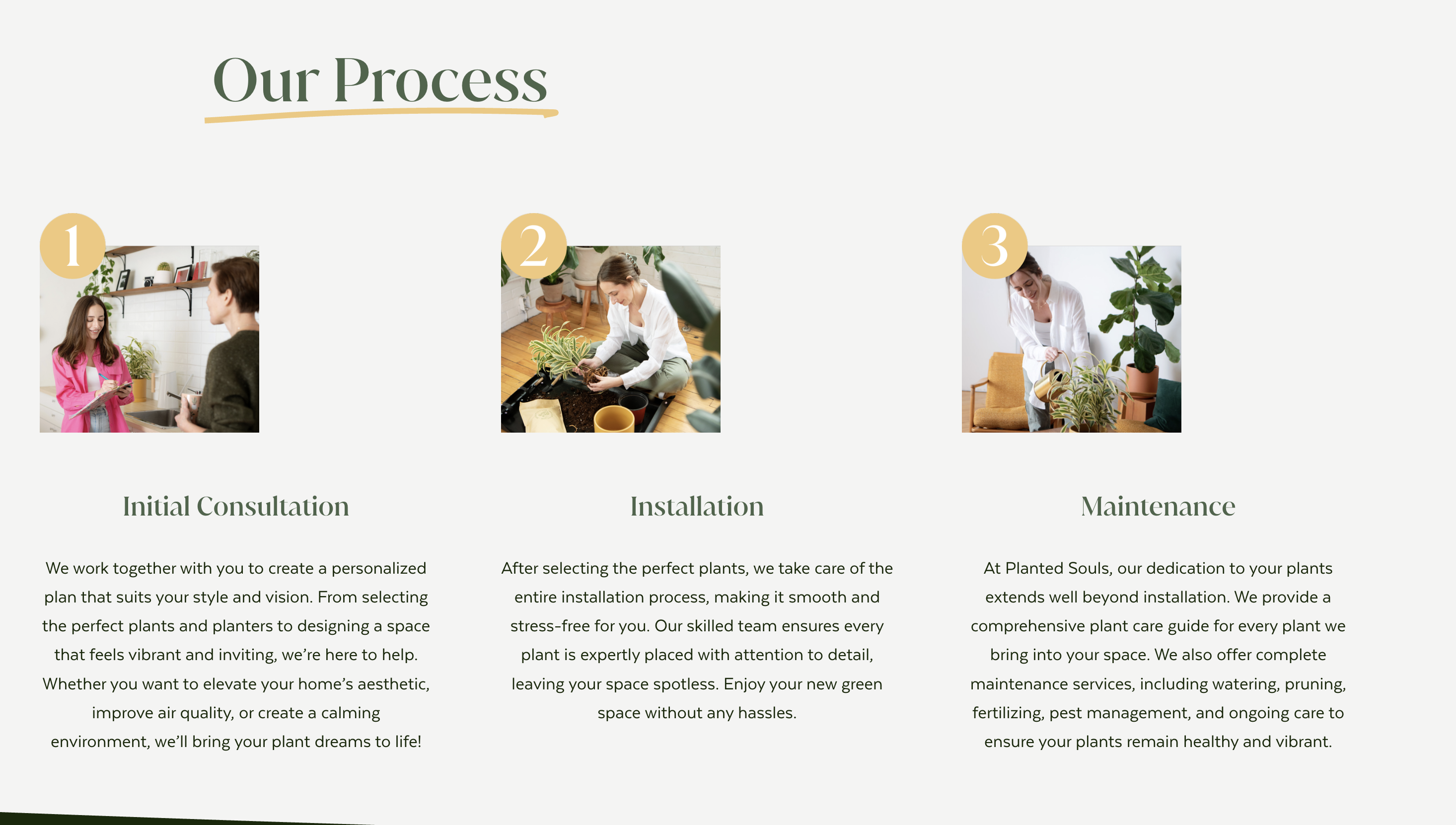 Planted Souls process page showing consultation, installation, and maintenance as three numbered steps